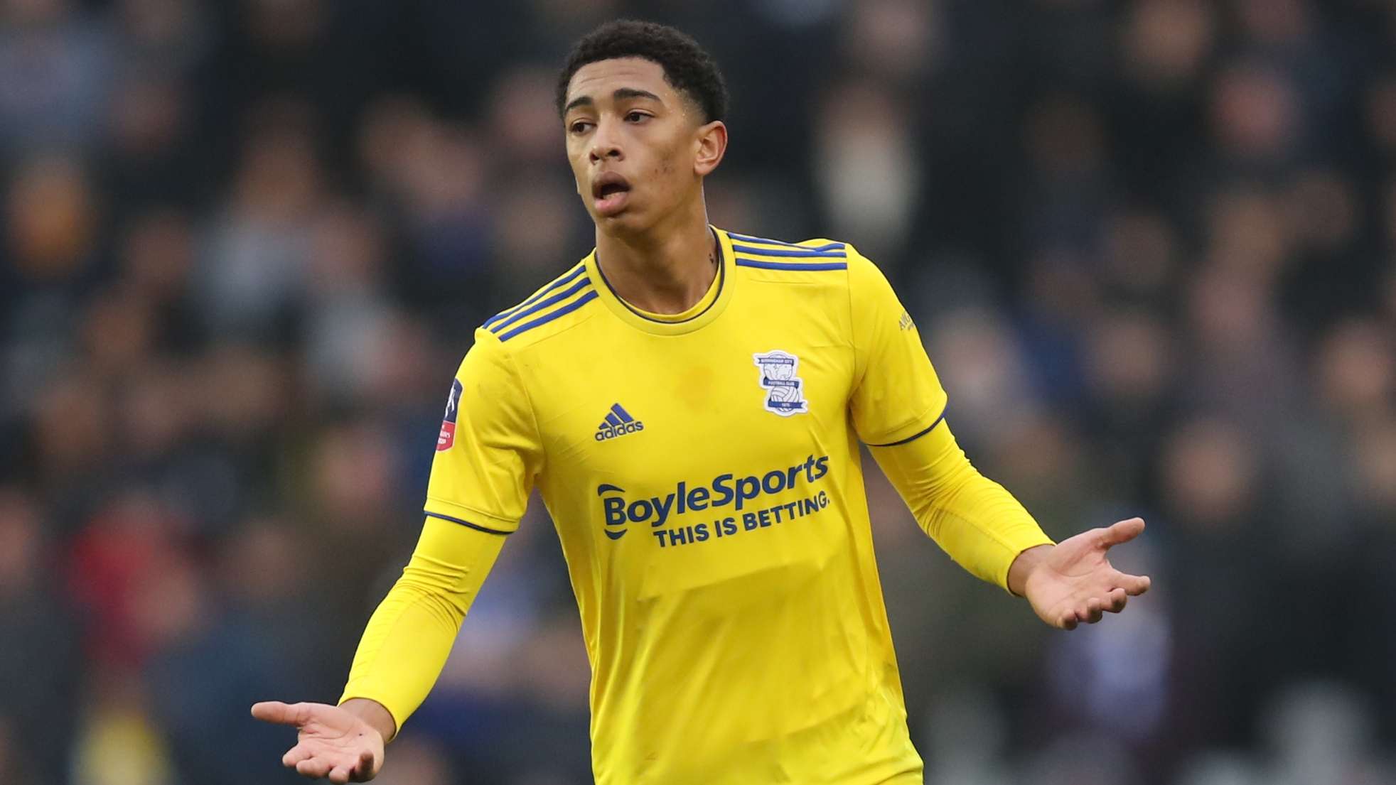 全力以赴的 全力以赴的